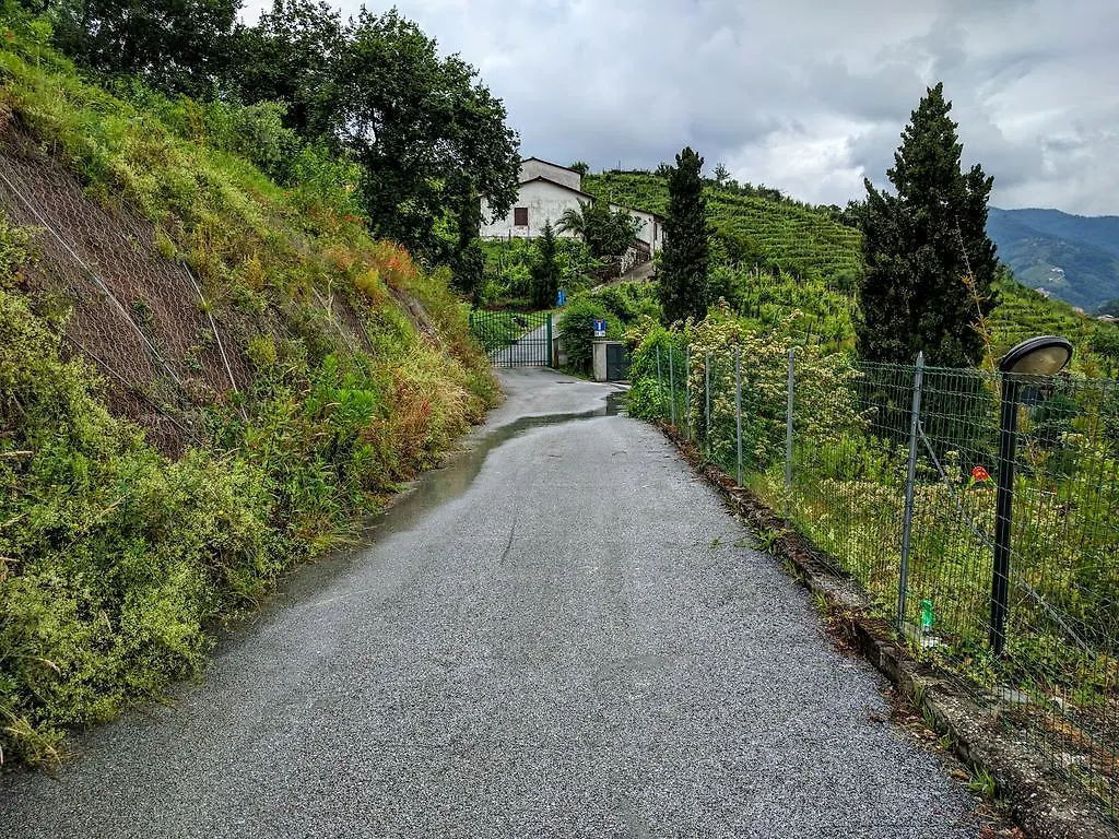 Sally'S B&B Carrara 3*,  Olaszország